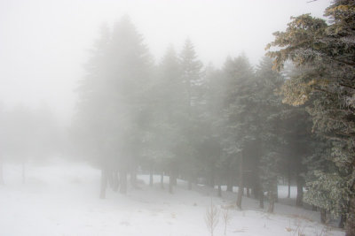 Magical land, Bursa - Uludag, Turkey, Turkey