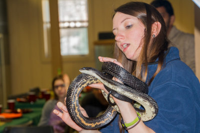 Snake, Cosley Zoo, Wheaton, IL