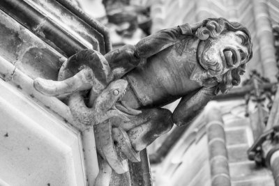 St. Vitus Cathedral, Gargoyle, Prague, Czech Republic