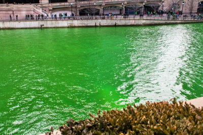 Chicago River is green, St. Patrick's Day, 2015