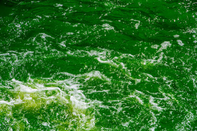 Green River, a non-toxic dye, Chicago, St. Patrick's Day, 2015