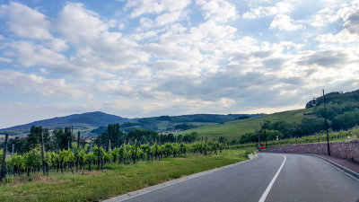 Route du Vin, Alsace, France