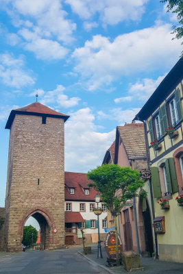 Cite fortifiee de Dumbach-la-ville, Route du Vin, Alsace, France