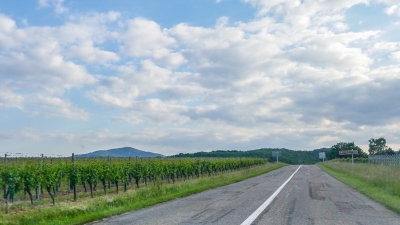 Route du Vin, Alsace, France