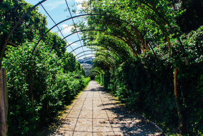 Mirabellgarten, Sound of Music location, Salzburg, Austria