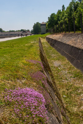 Concetration Camp, Dachau, Germany