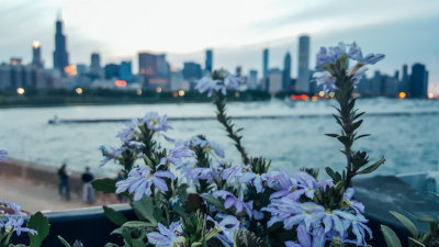 Chicago, View from Shedd Aquarium