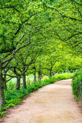 Path to English Walled Garden, Chicago Botanic Garden, Glencoe, IL