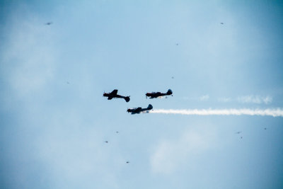 Air and Water show 2015 - Aerostars, Chicago