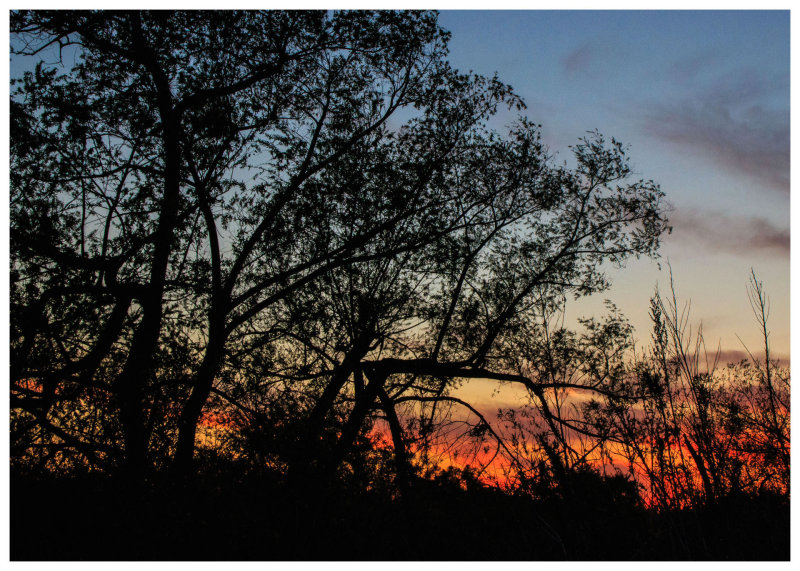 Peters Canyon Sunset