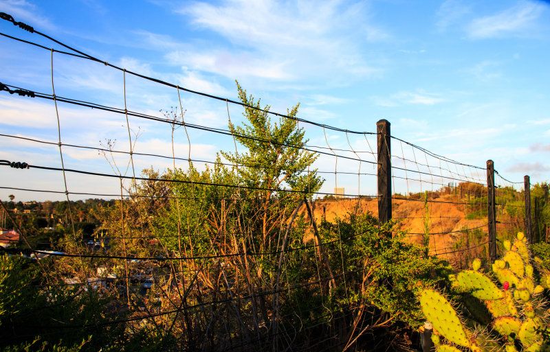 Back bay Fence