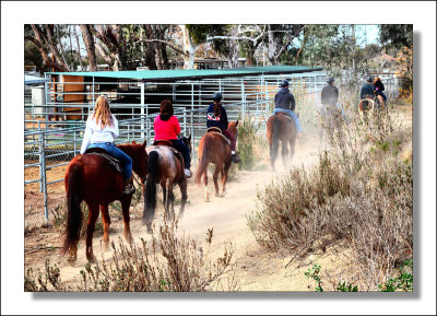 Irvine Park - Riding Horses