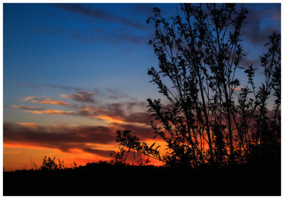 Peter's Canyon Sunset