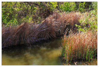 Santiago Regional Park