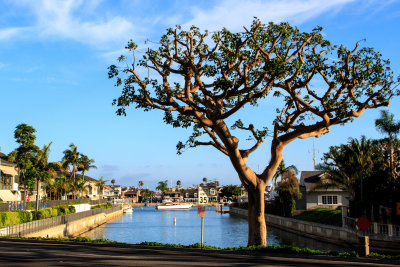 Promontory Bay, Newport, Beach