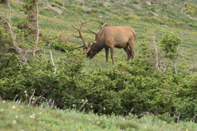 Alaska Trip 2015 (149 of 154).jpg