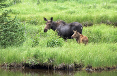 Alaska Trip 2015 (150 of 154).jpg