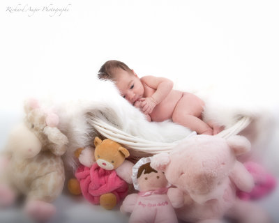 _DSC8795-2m1.jpg