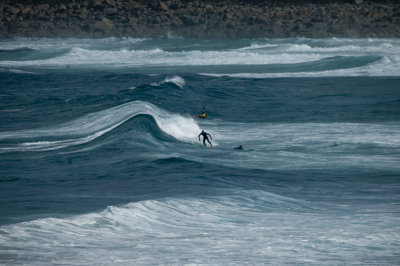 Surfing  copy.jpg