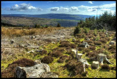 HDR Brecon hill walk 01 copy.jpg