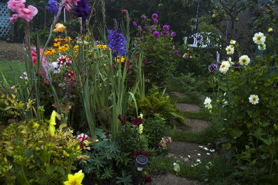 my garden this month01 copy.jpg