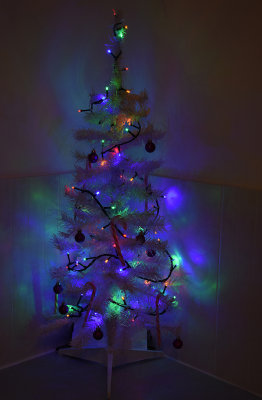 white tree with lights2 copy.jpg