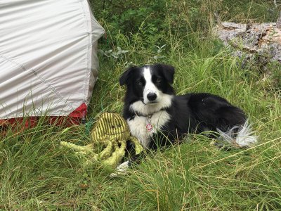 Summer and Ollie camping