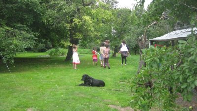 IMG_1005.jpg