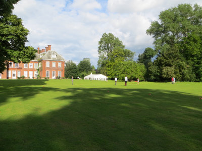 cricket on the lawn