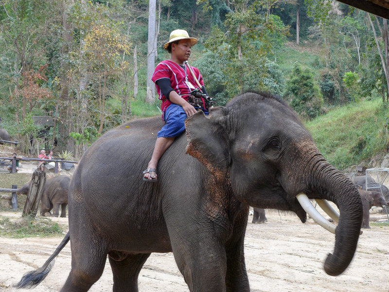 Chiang Mai