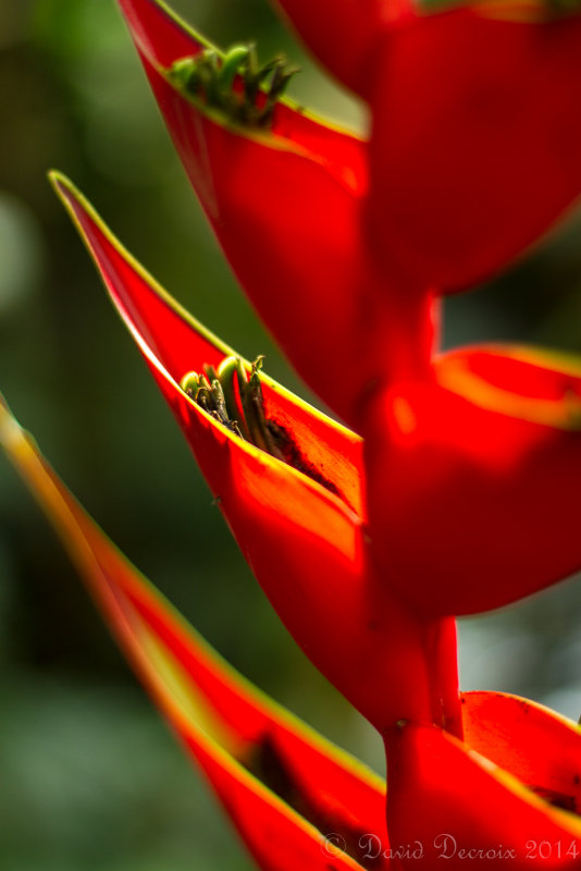 Chiang Mai, Thailand