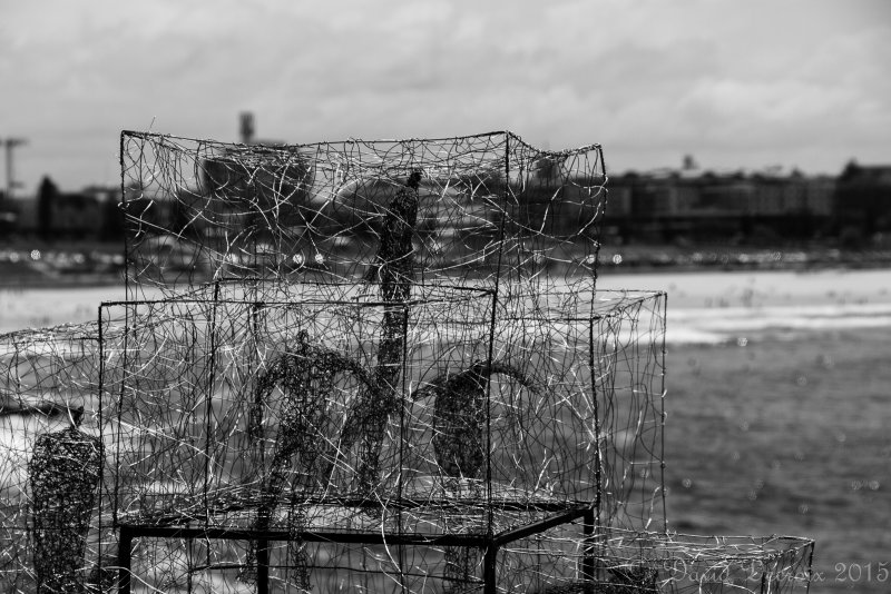 Sculpture by the Sea