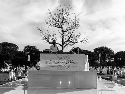 Diner en Blanc, Centennial Park, Sydney