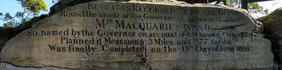 Macquarie Chair