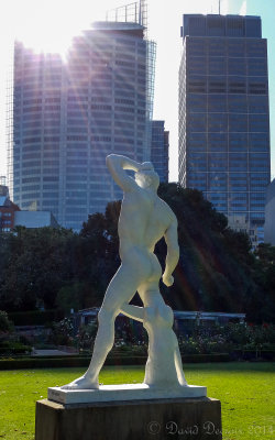 The Domain