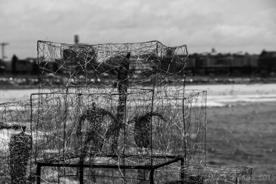 Sculpture by the Sea