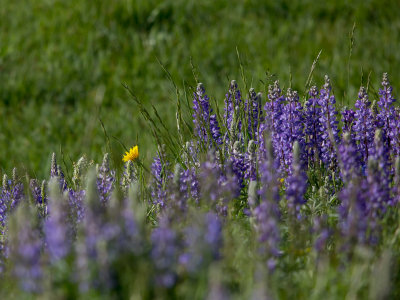 g9/30/668030/3/160578559.wY3AgfT6.jpg