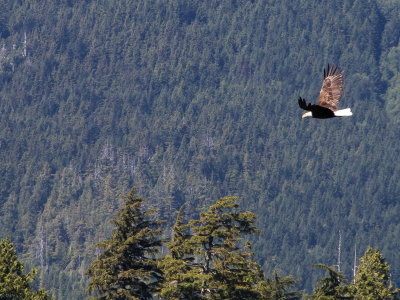 2016_vancouver_island