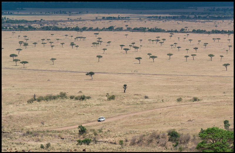 Masai Mara - the northern edge of Serengeti