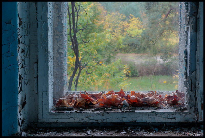 Old window with autumn leafs