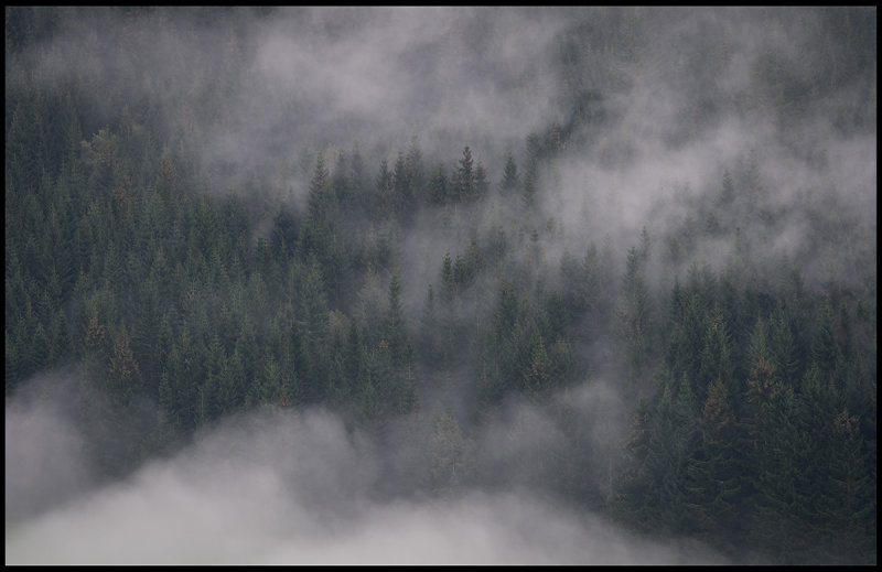 Low morning clouds near Utvik