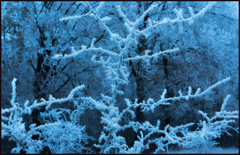 A frosty late afternoon - Vxj