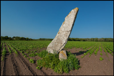 The stone at Albrunna -raised at Iron age