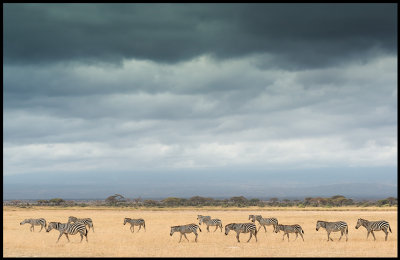 Rainclouds over Amboseli