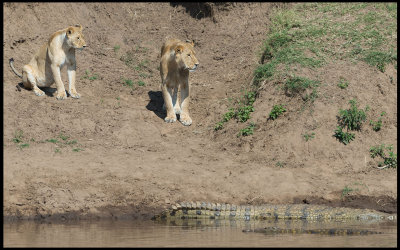 Mara River - not always good for a drink and a bath....