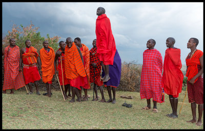 Masai men and boys dancing jumping - a true tourist attraction!!