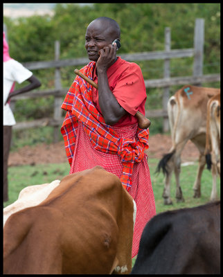 Masai man at the market