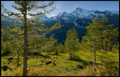 High alpine area near Grossglockner (Austria)