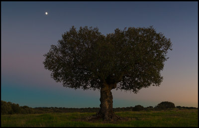 Moon over Extremadura