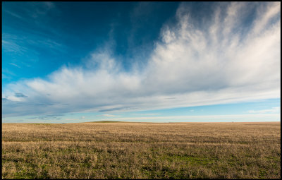 The grass steppe near Torrequemada